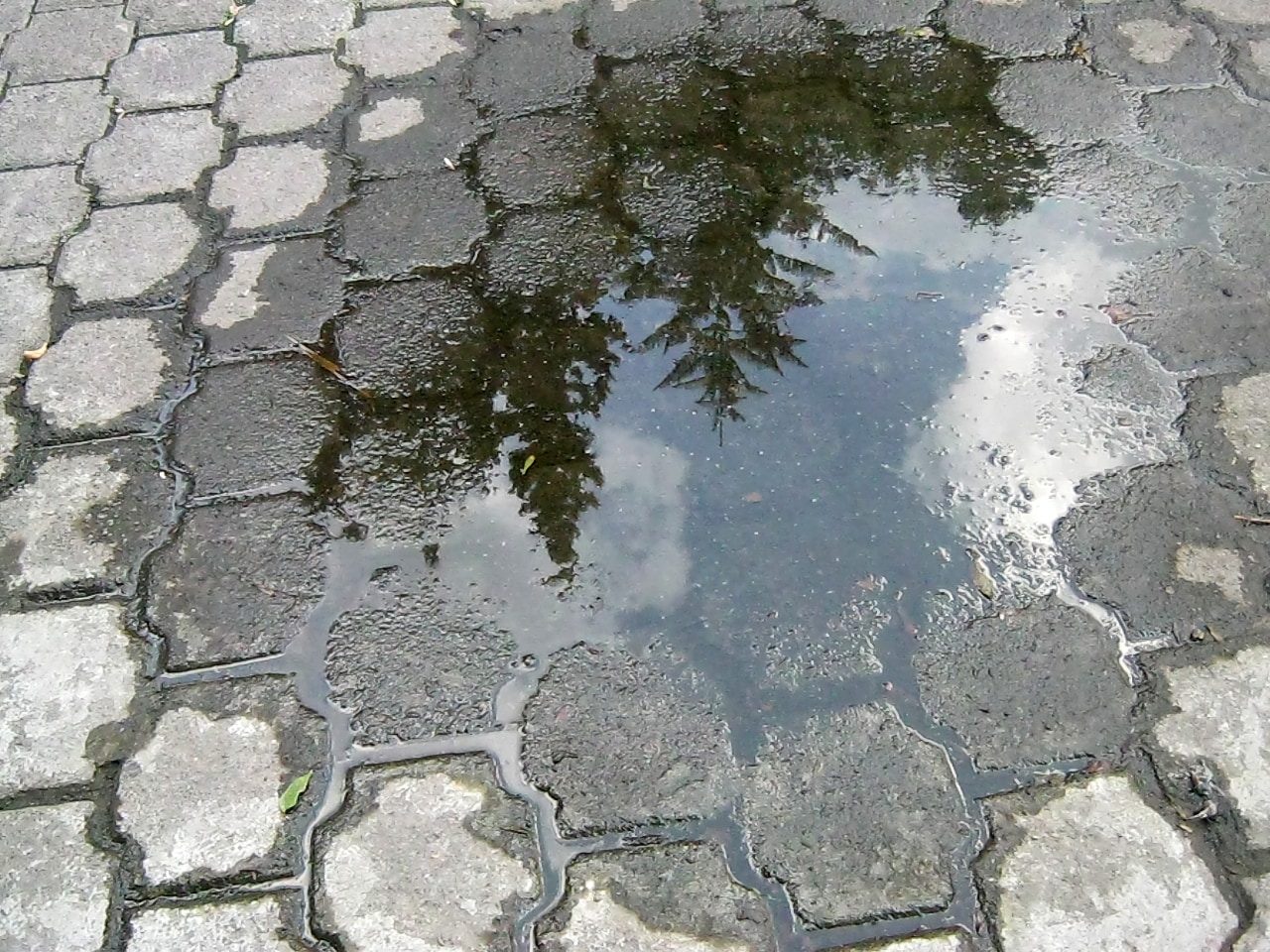 fotografía Reflejo