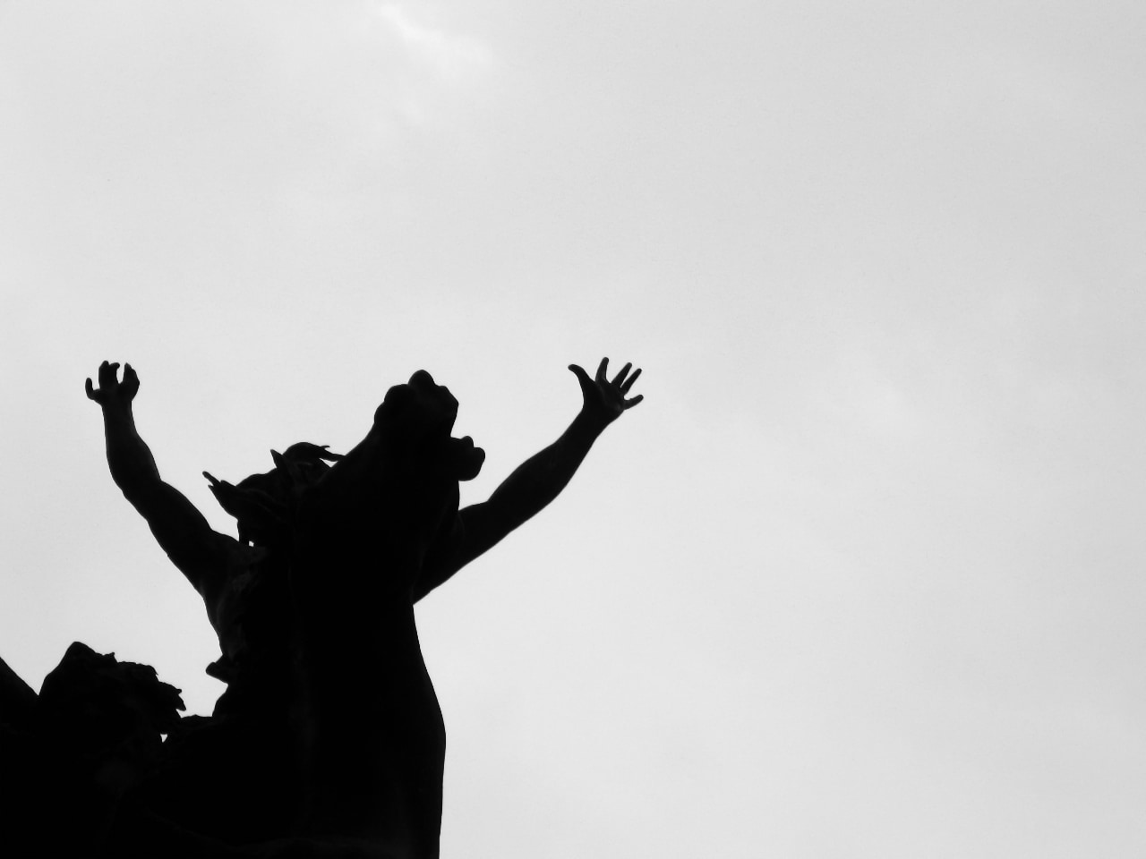 fotografía Las alas de la paz